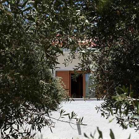 Villa Aelia Kámpos Exterior foto